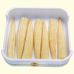 ข้าวโพดอ่อน