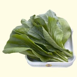 กวางตุ้ง