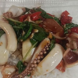 ข้าวกะเพราปลาหมึก