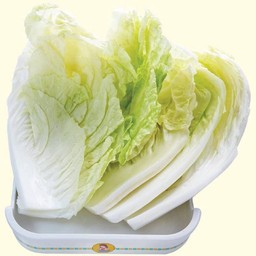 ผักกาดขาว