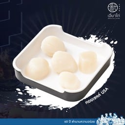 หอยเชลล์ USA