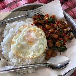 กะเพราถาดหลังมอ บ้านดู่ เชียงราย