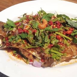 ปลากระพงลุยสวน