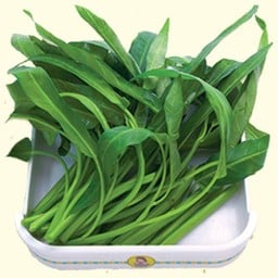 ผักบุ้ง