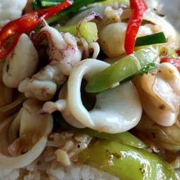 ข้าวราดผัดพริกหยวกปลาหมึก