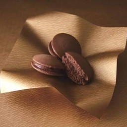 โชโกร่า มิคาสะ Shokora Mikasa