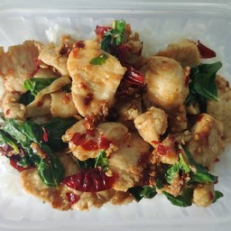 ข้าวกะเพราไก่