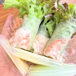 ดูดีสลัด ต้นเปา สันกำแพง