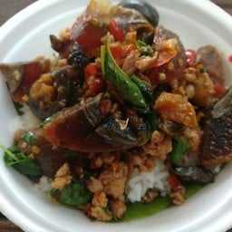 กระเพาหมูสับไข่เยี่ยวม้า (ราดข้าว)