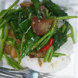 ข้าวคะน้าหมูกรอบ