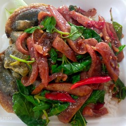 กะเพราไก่เชียง ใข่เยี่ยวม้า