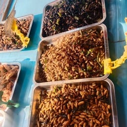 แมงสะดิ้งจิ้งหรีดดักแด้(3อย่างรวมกัน)ได้5ตัก
