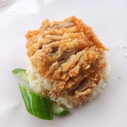 ข้าวมันไก่-ทอด ธรรมดา