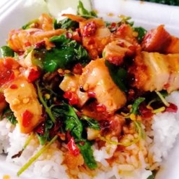 Crispy Pork Basil with Rice