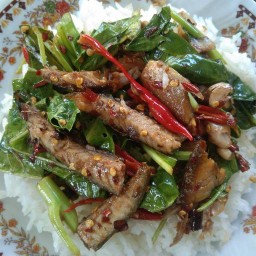 ข้าวผัด  จานอร่อย บางแสน อาหารตามสั่ง ย้ายมาจากข้างจตุจักร
