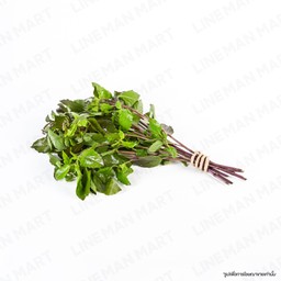 ใบกะเพรา 1กำ