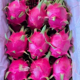 แก้วมังกรขาว