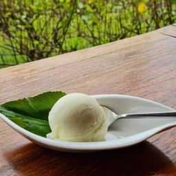 homemade ice cream