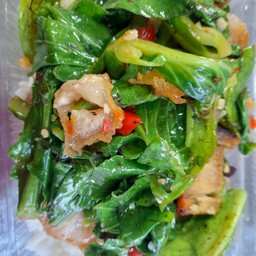 ข้าวราดผัดผักแขนง