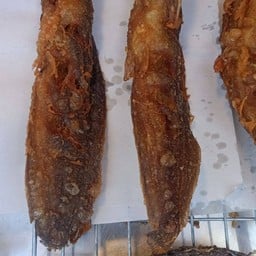 ฟิวส์ไก่ทอดหาดใหญ่