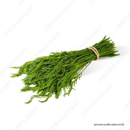 ชะอม 1มัด