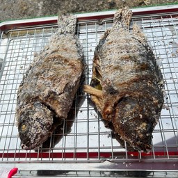 ร้านปลาเผานำ้จ้มรสเด็ด