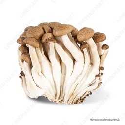 เห็ดชิเมจิ