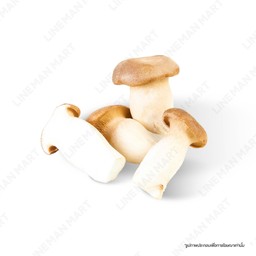 เห็ดออรินจิ(นางรมหลวง)