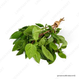 โหระพา 1มัด