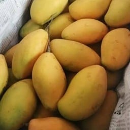 มะม่วงสุก