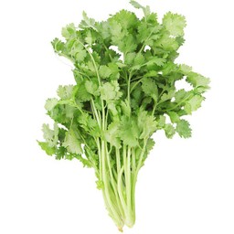 ผักชี coriander