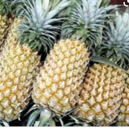 สับปะรดภูเก็ต ไม่ปอก หรือปอก โปรดระบุ