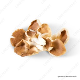 เห็ดนางฟ้า 100 กรัม