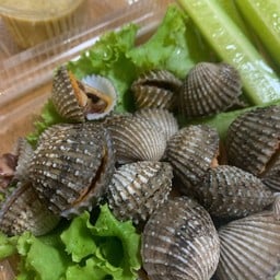 หอยคอนโด