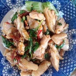 กะเพาไก่ราดข้าว