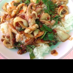 กะเพราปลาหมึกราดข้าว