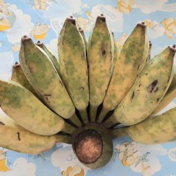 กล้วยน้ำว้า