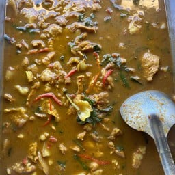 ป่าหมูใบยี่หร่า