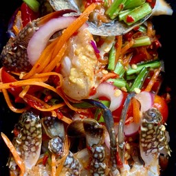 แซลม่อนสด ทะเลดอง หอยสด @ไร่วนาสิน