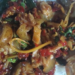 ผัดฉ่าหมูป่าราดข้าว