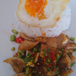 ผัดกระเพราพายกระดูกอ่อนราดข้าวไข่ดาวหอมๆเมนูแนะนำต้องลอง