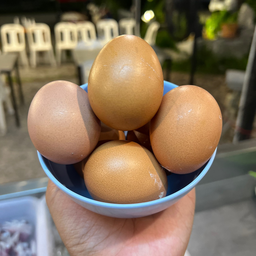 ไข่ไก่ 1 ฟอง