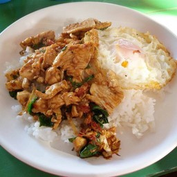 ผัดกระเพราไก่