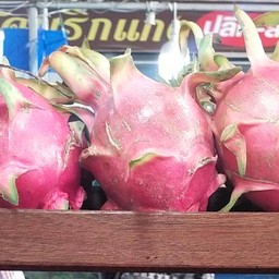 แก้วมังกรภูเรือ 1 กก