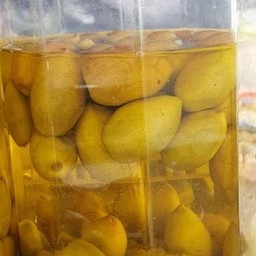 มะกอก ดอง