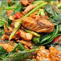 ป้าจุรีย์อาหารตามสั่ง