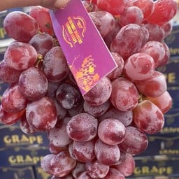 องุ่นไร้เมล็ดคิมสัน