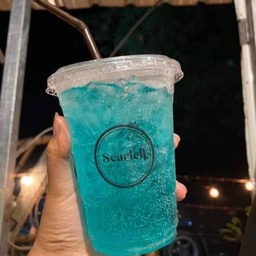 มิ้นท์ โซดา