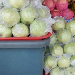 ฝรั่งสด กิมจุ