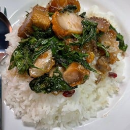 กะเพรา หมูกรอบ